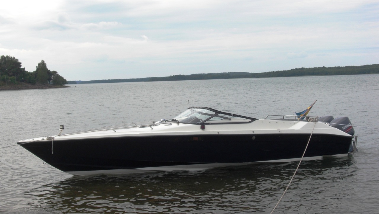 Flying Flipper 6.jpg