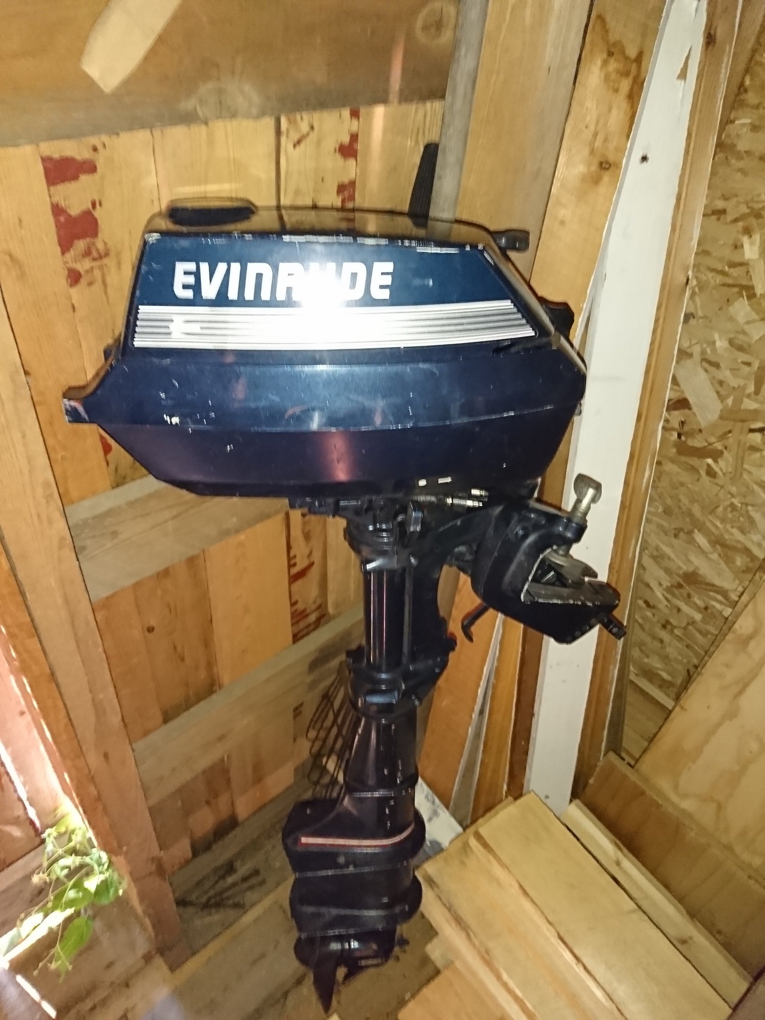 Карбюратор evinrude 4