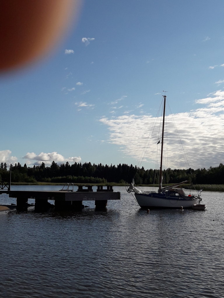 20170821_175402.thumb.jpg.0fd0694c5fbba7e4b65d5ba115610ed9.jpg