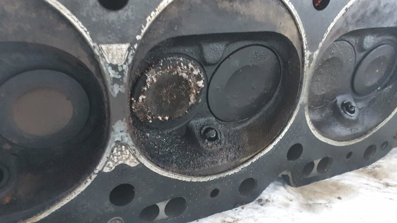 20210404_135030 (2)-2016x1134.jpg