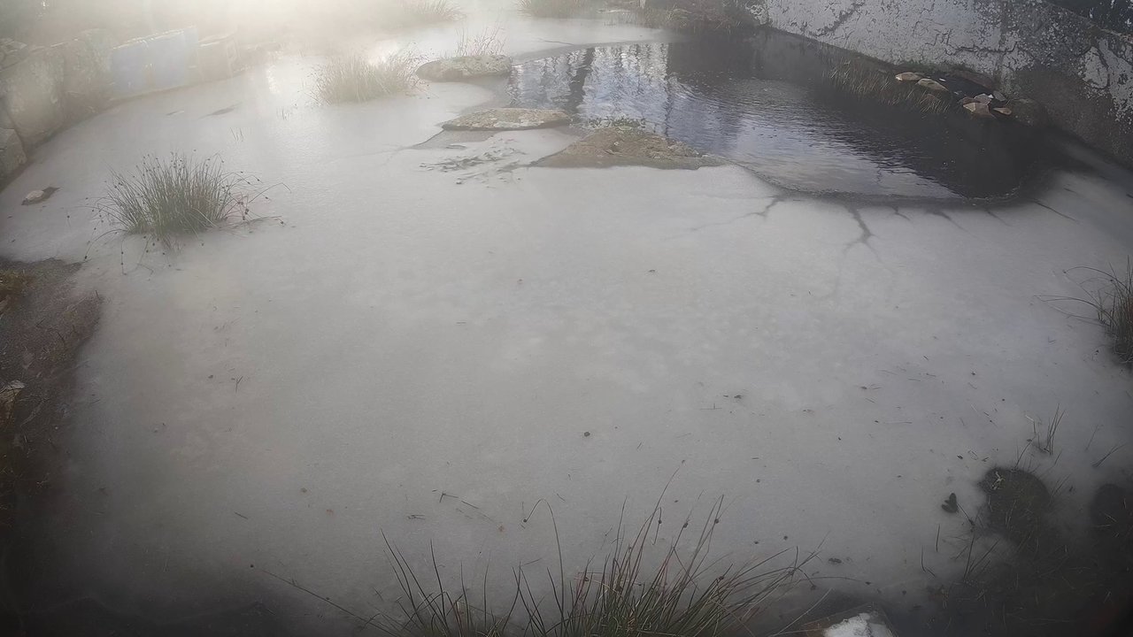 Sturkö - dammen 2021-12-05 12.45.46.327.jpg