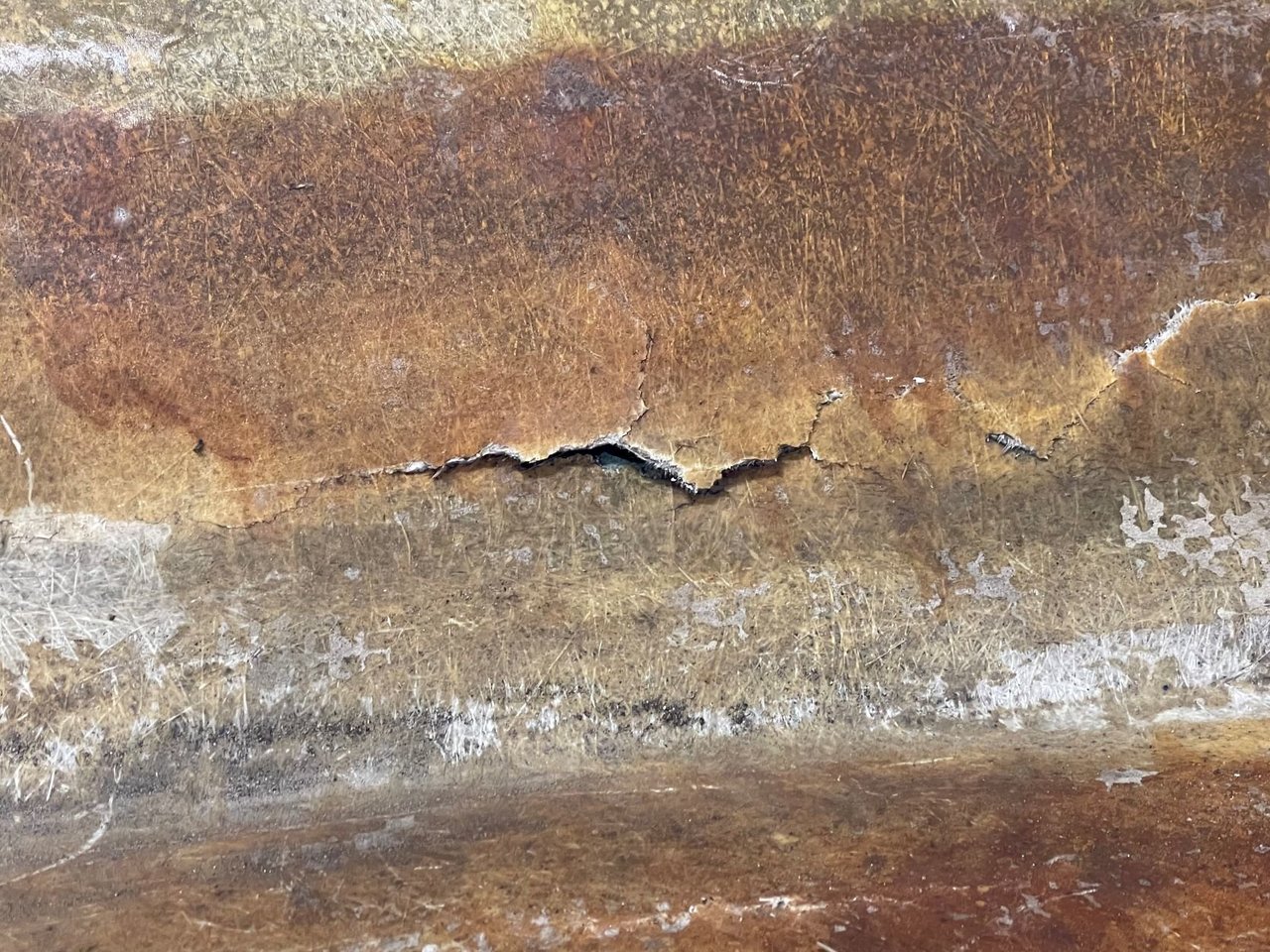 2022-04-19 10.20.04.jpg