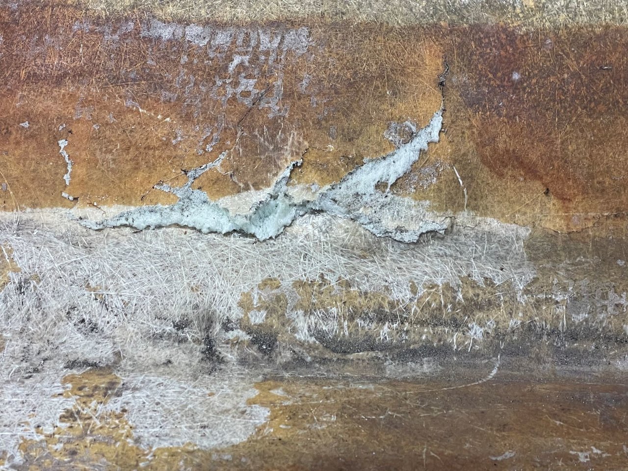 2022-04-19 10.19.59.jpg