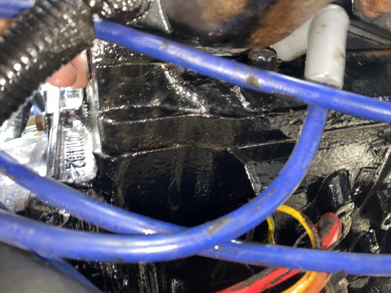B507EC27-AE9E-44DE-9F99-713AC1C8828C.jpeg