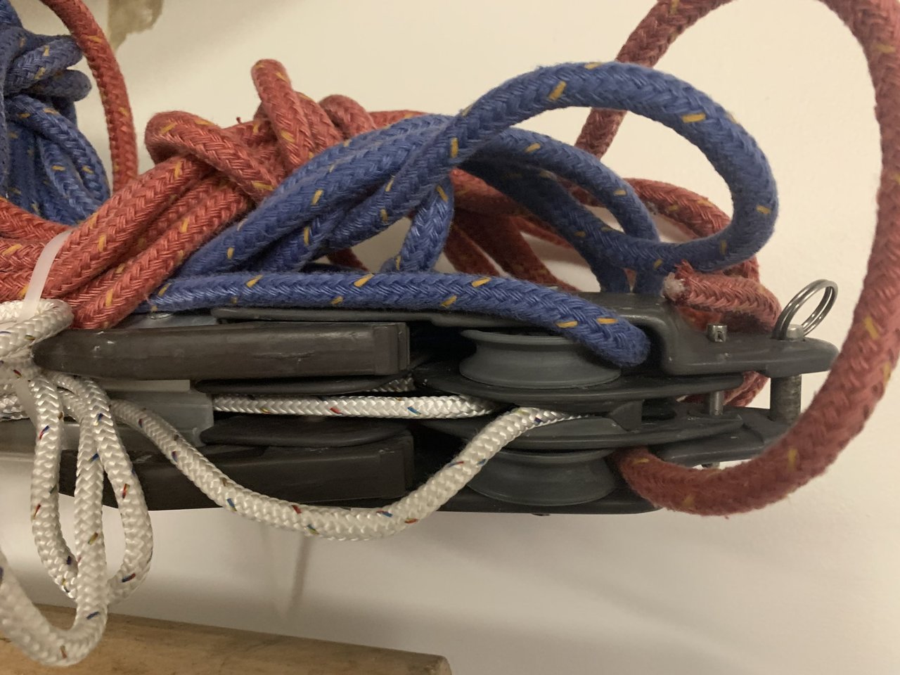 IMG_1622.jpeg