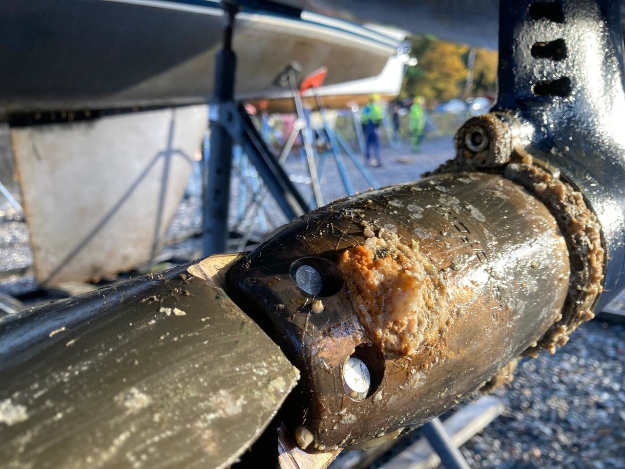 WhatsApp Bild 2024-10-21 kl. 20.45.00_8285f9c6.jpg