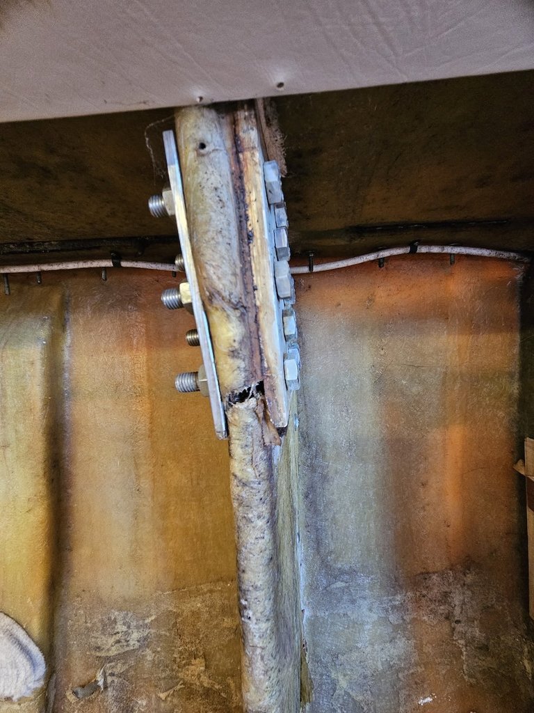 20250123_153448 copy.jpg