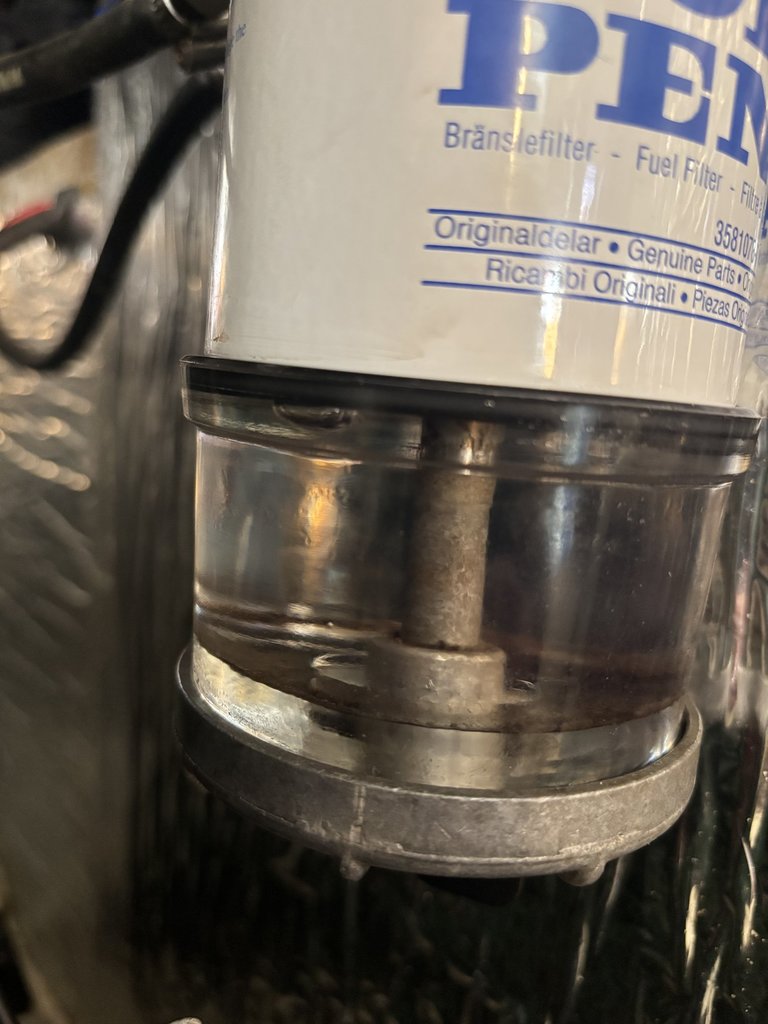 IMG_1650.thumb.jpeg.aeb2604a523436287e92d89e185402e6.jpeg
