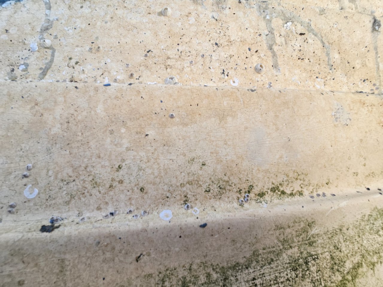 20260511_202240.jpg