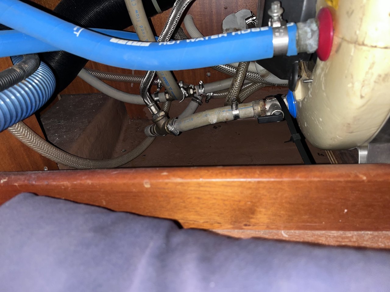 IMG_7768.jpeg