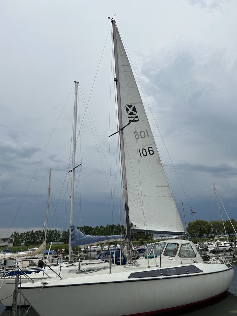 IMG_9426.thumb.jpeg.981449f9a6e3a5702730009b5c6f6f37.jpeg