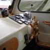 Overlander